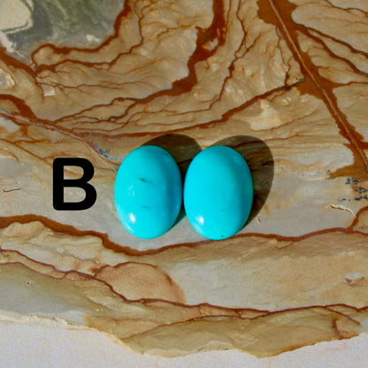  Desert Dreamer Earrings - Made to Order Earrings, Kingman Turquoise, Pair B